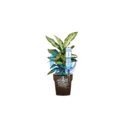 Sistema de riego para plantas en maceta
